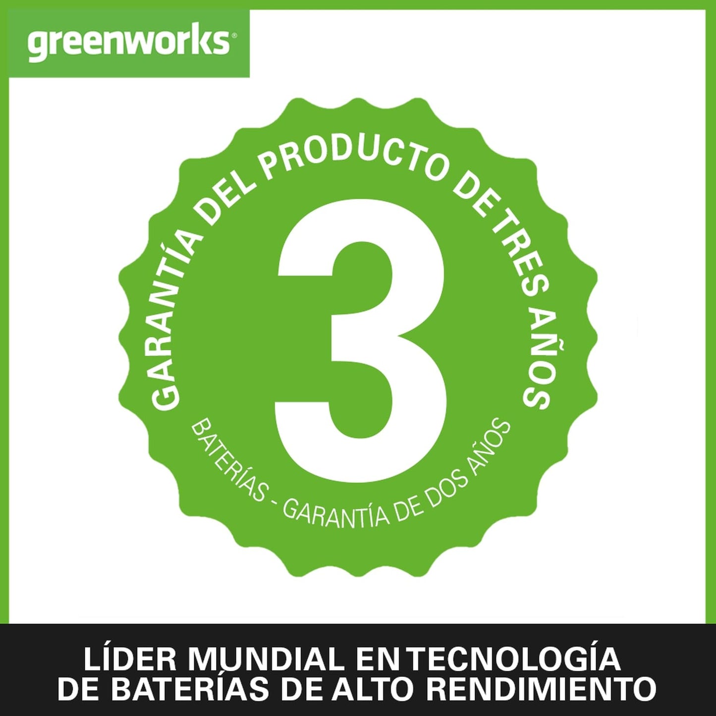 Greenworks 48V (2x24V) Cortacésped de Batería Autopropulsada, Ancho de Corte 46 cm, Bolsa de 55L MÁS Dos Baterías de 4Ah y Cargador Doble GD24X2LM46SPK4X